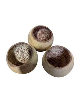 Bell Cup -5-7cm Les gousses de Bael, issues de l’arbre Aegle marmel...