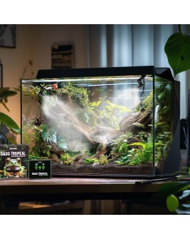 Oasis Tropical - Automatic Sprinkler - Kit de Brumisation Arroseur ...