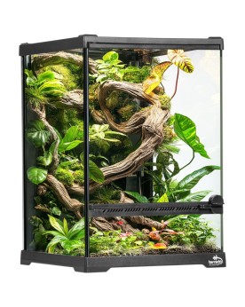 Oasis Verde 5 - Terrarium 20x20x30cm Terrarium en verre 20x20x30 Te...