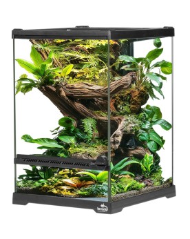 Oasis Verde 5 - Terrarium 20x20x30cm Terrarium en verre 20x20x30 Te...