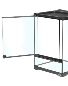 Oasis Verde 5 - Terrarium 20x20x30cm Terrarium en verre 20x20x30 Te...
