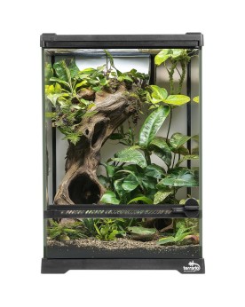 Oasis Verde 5 - Terrarium 20x20x30cm Terrarium en verre 20x20x30 Te...