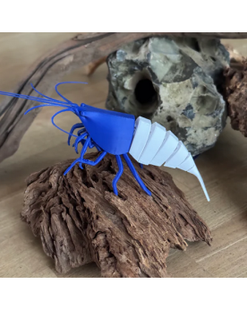 Shrimpys - Blue Bolt Vous cherchez un superbe élément décoratif pou...