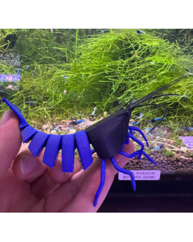 Shrimpys - Blue Shadow Mosura Vous cherchez un superbe élément déco...