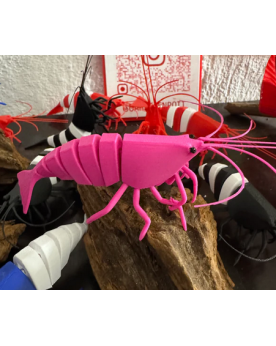 Shrimpys - Pink Vous cherchez un superbe élément décoratif pour vot...