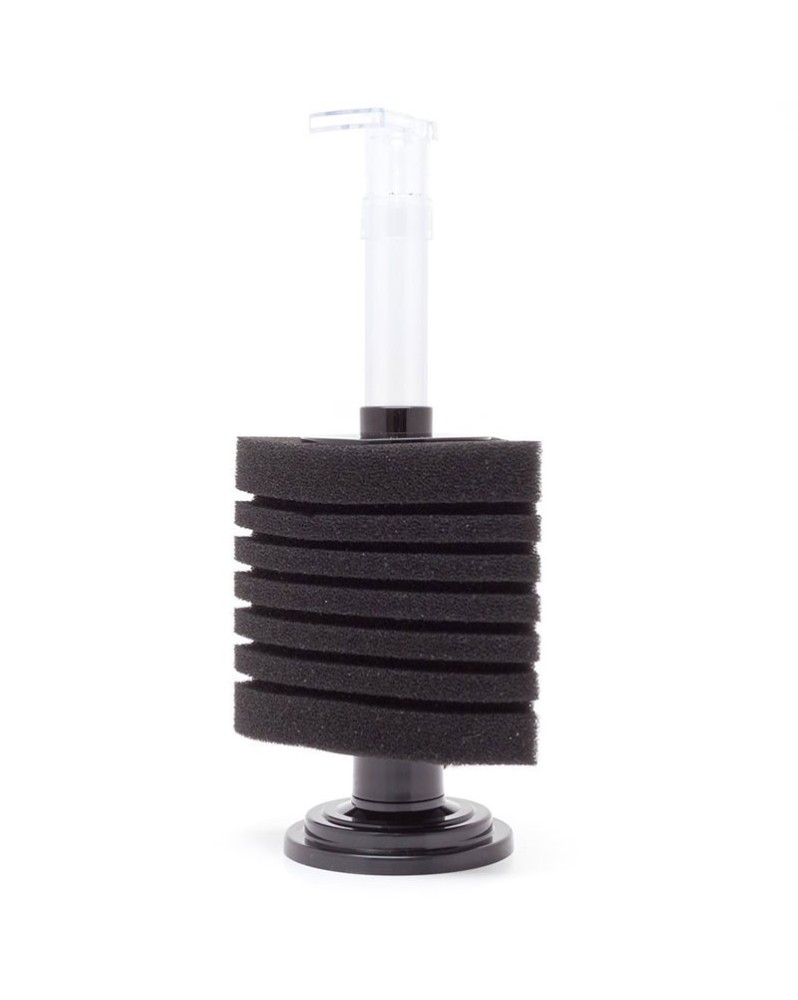 Aquanova - Filtre exhausteur de Coin - C200 Filtre à exhausteur de ... Aquanova - Filtre exhausteur de Coin - C200 Filtre à exhausteur de ...