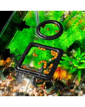 Aquanova - Feeding Floating Ring Mangeoire flottante Aqua Nova - An...
