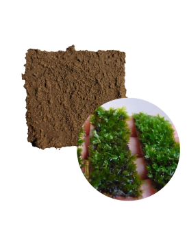 GrowScape - PlantMat - 5x5cm Spécialement conçu pour les AquaScapes...