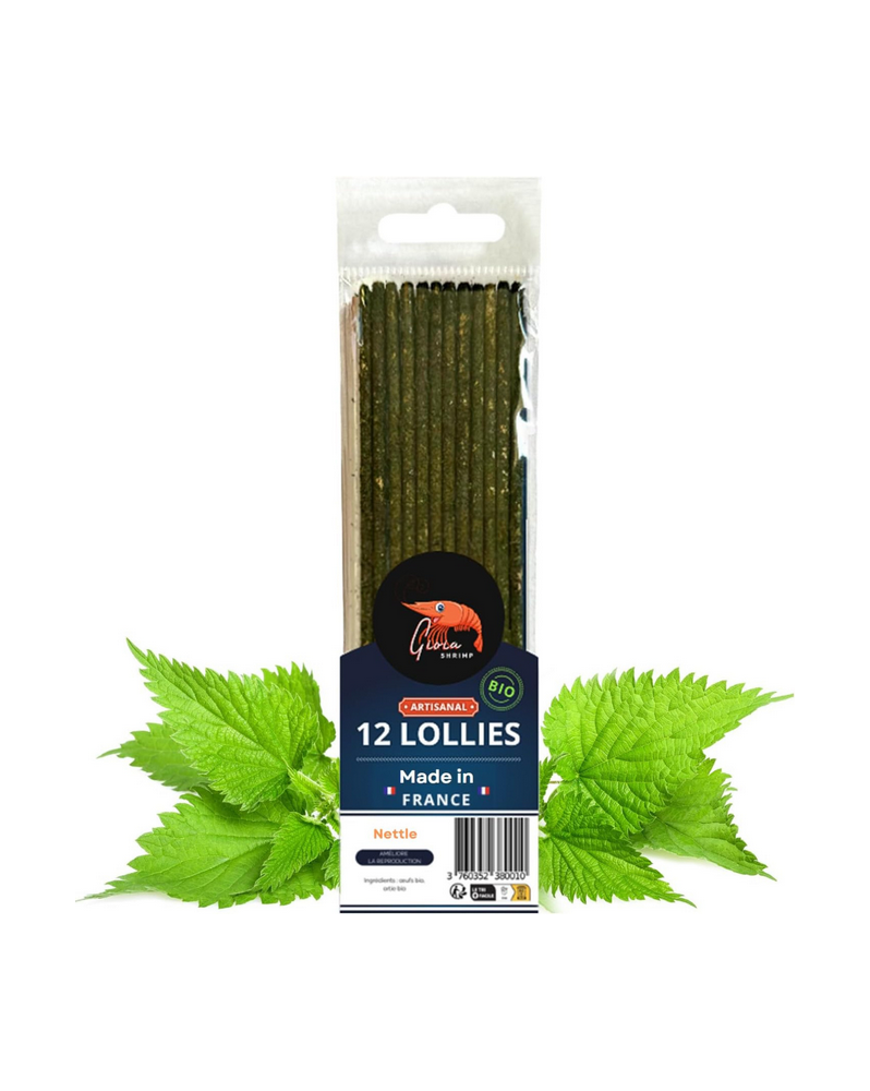 Gioia Shrimp - 12 Lollies Ortie Bio Lollies Orties BIO. Paquet de 1... Gioia Shrimp - 12 Lollies Ortie Bio Lollies Orties BIO. Paquet de 1...