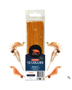 Gioia Shrimp - 12 Lollies 100% Artemia Lollies 100% Artemia. Paquet...