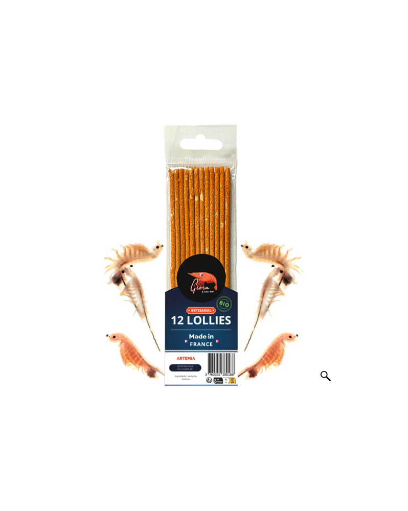 Gioia Shrimp - 12 Lollies 100% Artemia Lollies 100% Artemia. Paquet... Gioia Shrimp - 12 Lollies 100% Artemia Lollies 100% Artemia. Paquet...