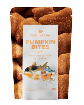 NaturHolic - Pumpkin Cinnamon Bites - 30g Les bouchées NatureHolic ...