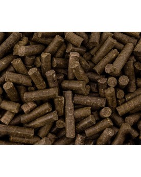 NaturHolic - Aqua Snack - Moringa Sticks - 30g Moringa NatureHolic ...