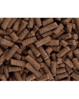 NaturHolic - Aqua Snack - Insect Sticks - 30g Ces bâtonnets d'insec...