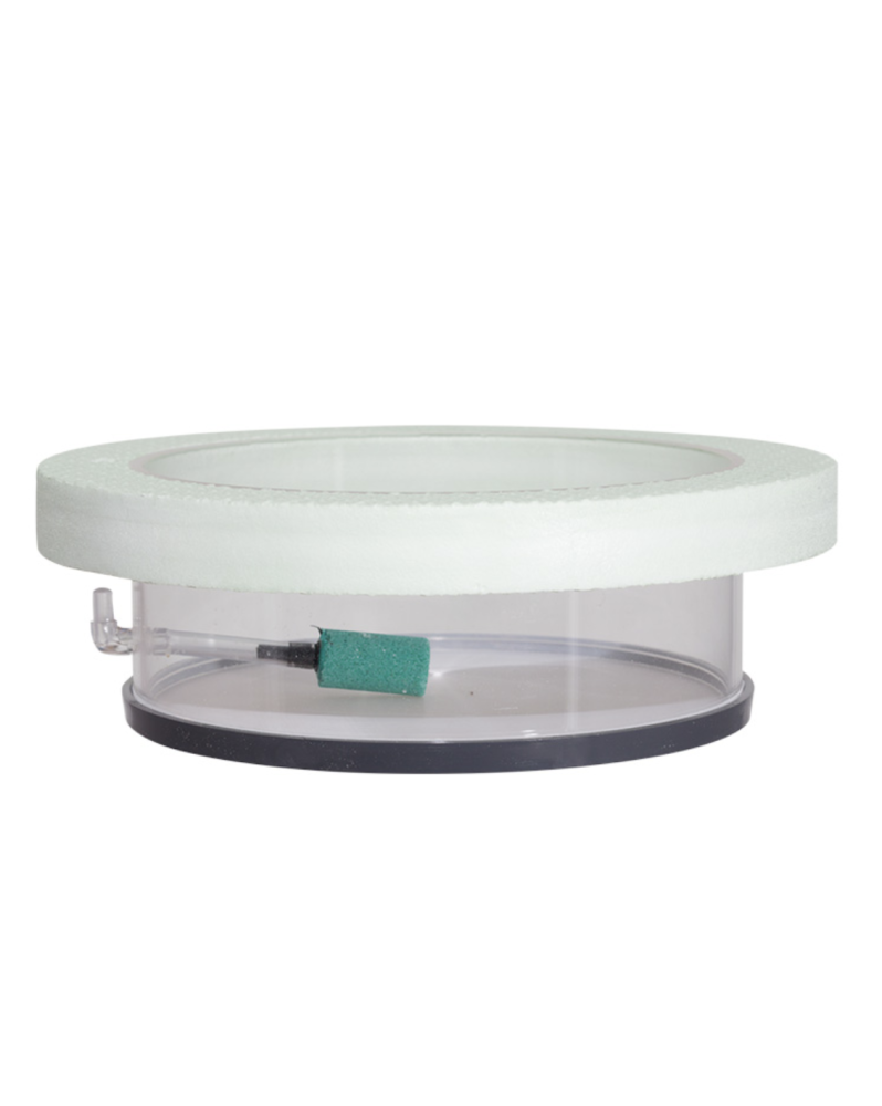 Breeding Box Flottante Ronde - 150mm avec Diffuseur Anneau d'élevag... Breeding Box Flottante Ronde - 150mm avec Diffuseur Anneau d'élevag...