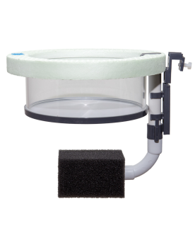 Breeding Box Flottante Ronde - 150mm avec Filtration Anneau d'éleva...