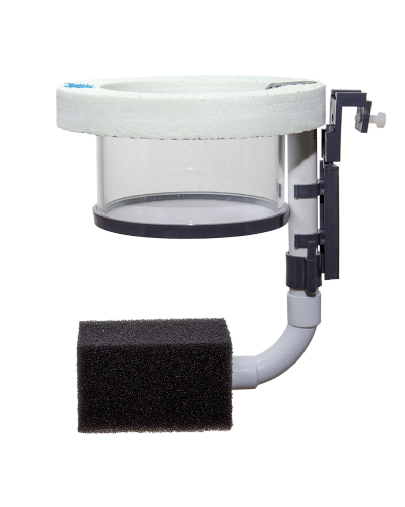 Breeding Box Flottante Ronde - 100mm avec Filtration Anneau d'éleva... Breeding Box Flottante Ronde - 100mm avec Filtration Anneau d'éleva...