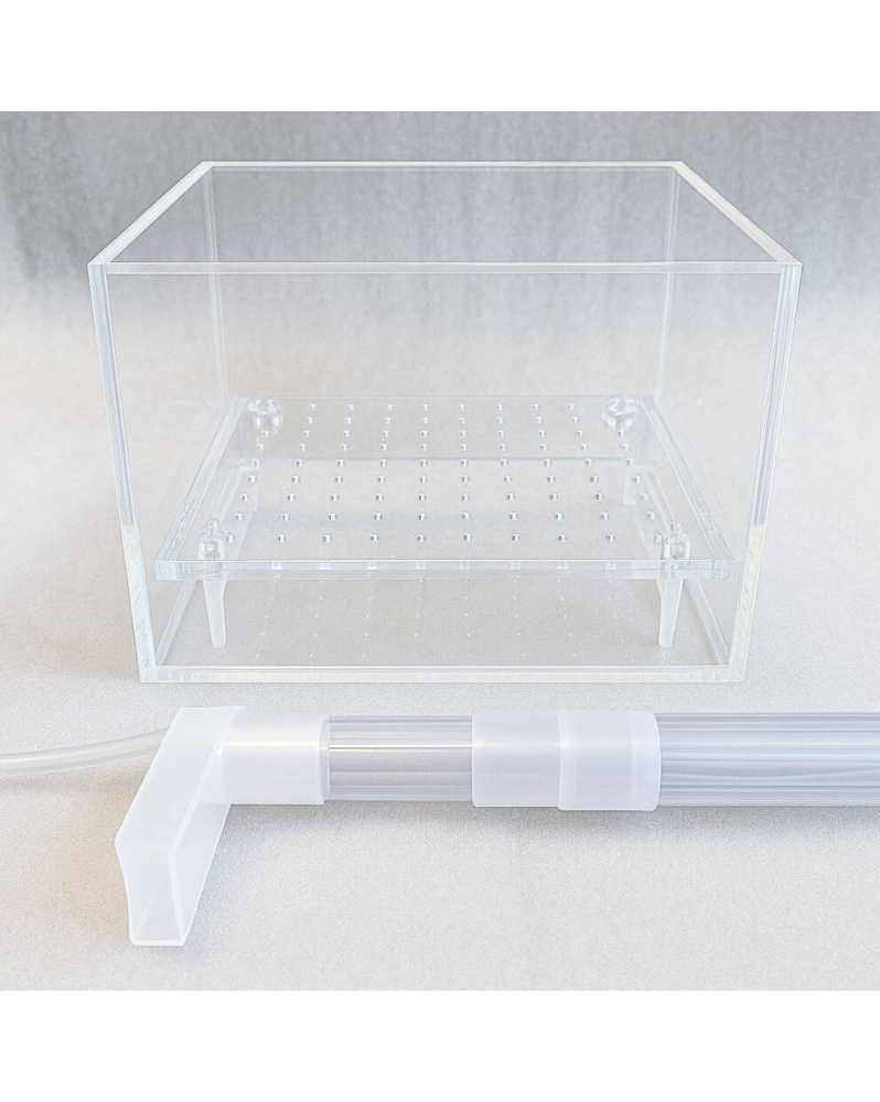Aqua Elevage - Box de Filtration UGF Rectangle 10x15x10cm Aqua Ele... Aqua Elevage - Box de Filtration UGF Rectangle 10x15x10cm Aqua Ele...