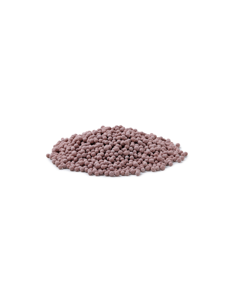 Oase - BioPearls 1L Oase Biopearls – 1 litre : Les Oase Biopearls ... Oase - BioPearls 1L Oase Biopearls – 1 litre : Les Oase Biopearls ...