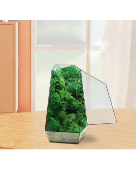 Glass Terra - 16.5x14.5x25.3cm  Les Terrariums et Vivariums