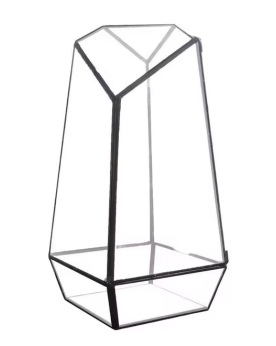 Glass Terra - 16.5x14.5x25.3cm  Les Terrariums et Vivariums