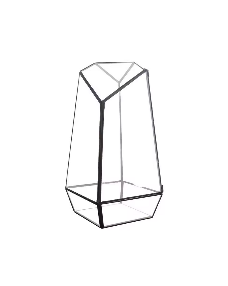 Glass Terra - 16.5x14.5x25.3cm  Les Terrariums et Vivariums