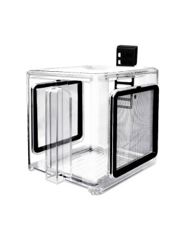 Box de Sélection Crevettes/Poissons Acrylic - 15x15x15cm       Box ...