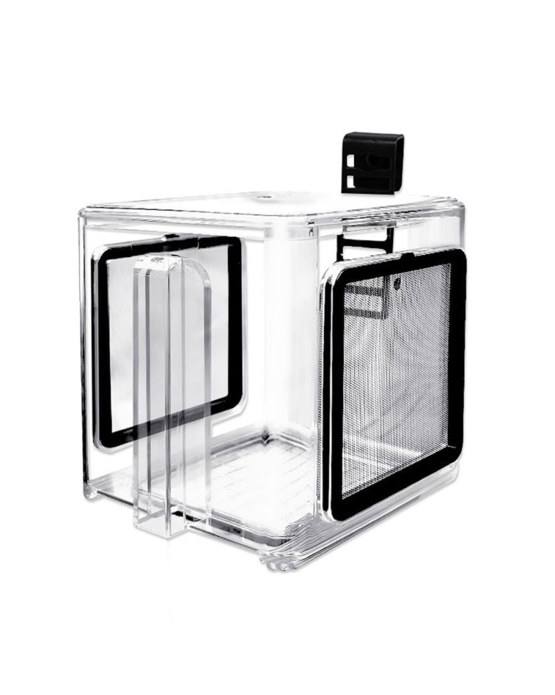 Box de Sélection Crevettes/Poissons Acrylic - 15x15x15cm       Box ...