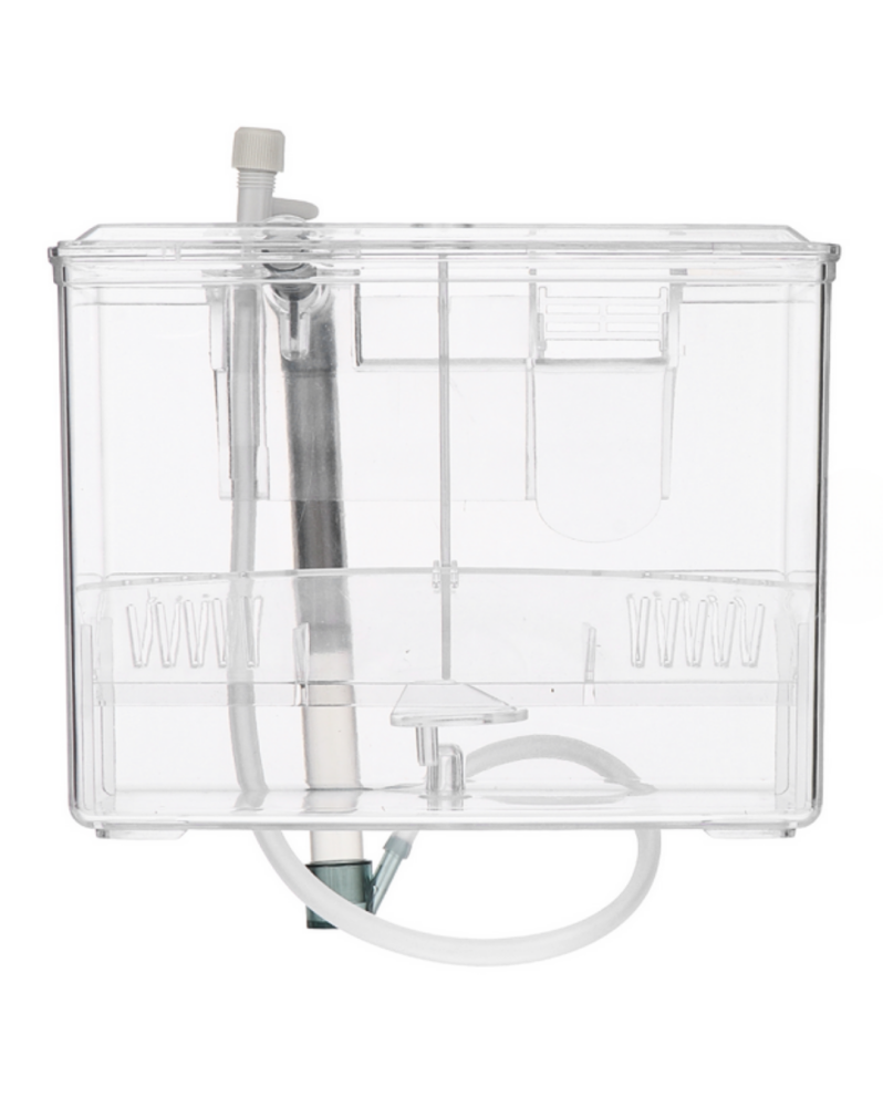 Breeding Box BB11 Breeding box. Fabriqué en plastique transparent e...