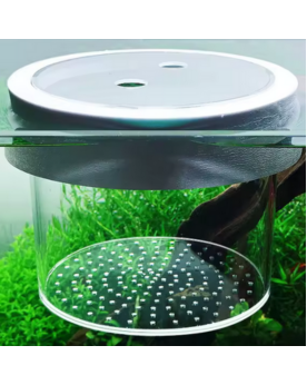 Breeding Box Flottante - 12x10cm Anneau d'élevage flottant pour aqu...