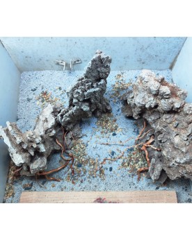 Hardscape Sur Photo - HS3 Hardscape HS-3 Taille: base 45x30cm idéal...