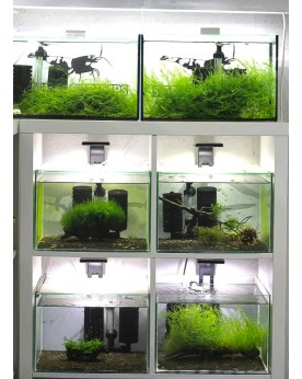 Aquarium pour Kallax - 38x33x22cm (avec couvercle et glissière) Cuv...
