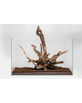 Racine Black Slim Wood - 10-25cm  Racines Black Slim Wood. Belles r...