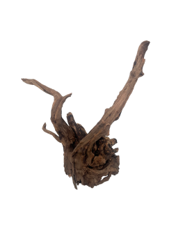 Racine Black Slim Wood - 10-25cm  Racines Black Slim Wood. Belles r...