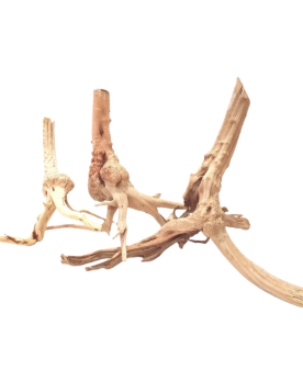 Stump Wood - 20-40cm Racine Stump Wood - 20-40cm. Racine rappelant ...