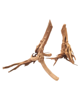 Stump Wood - 20-40cm Racine Stump Wood - 20-40cm. Racine rappelant ...