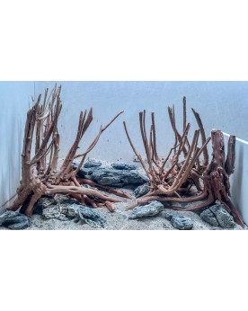 Stump Wood - 20-40cm Racine Stump Wood - 20-40cm. Racine rappelant ...