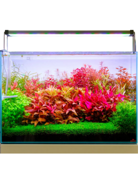 Twinstar Light V - 600S Twinstar Light V 600S – Éclairage LED haut ...