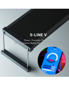 Twinstar Light V - 900S  Twinstar Light V 900S – Éclairage LED haut...