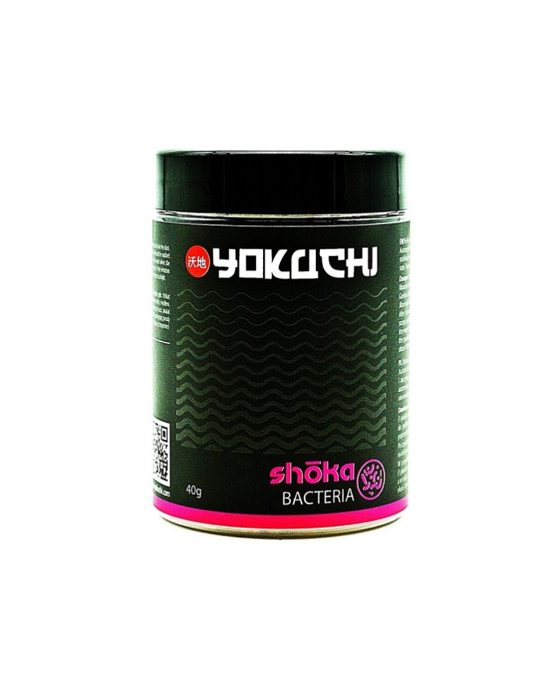 Yokuchi - Shoka Bacteria Yokuchi - Shoka Bacteria - Les bactéries S...