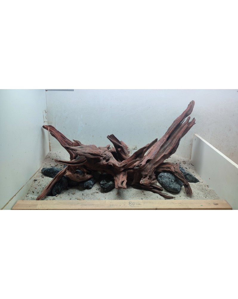 Hardscape Sur Photo - HS12 Hardscape sur photo HS-12. (RESERVE) Com... Hardscape Sur Photo - HS12 Hardscape sur photo HS-12. (RESERVE) Com...