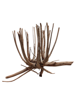 Stump Wood - 20-40cm Racine Stump Wood - 20-40cm. Racine rappelant ...