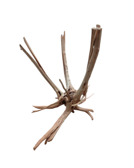 Stump Wood - 20-40cm Racine Stump Wood - 20-40cm. Racine rappelant ...