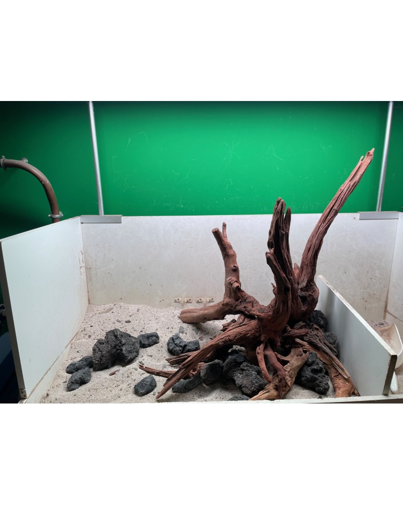 Hardscape Sur Photo - HS8 Hardscape sur photo réservé. Volcano ston...