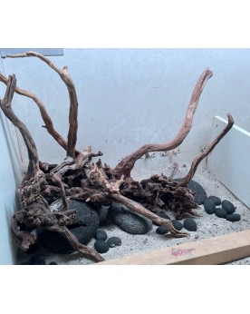 Hardscape Sur Photo - HS1 Hardscape sur photo HS-1. Composition à b...