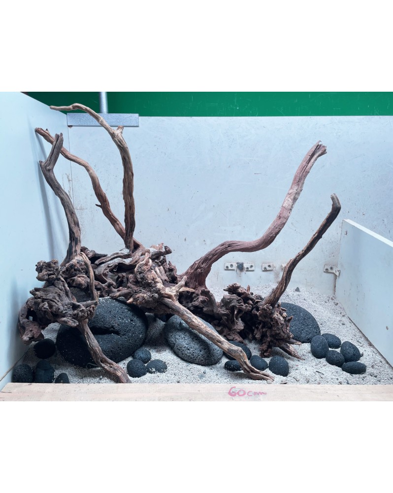 Hardscape Sur Photo - HS1 Hardscape sur photo HS-1. Composition à b...