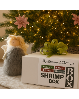 Shrimp Box n°9 Le cadeau de Noël Idéal! Nous vous proposons une Shr...