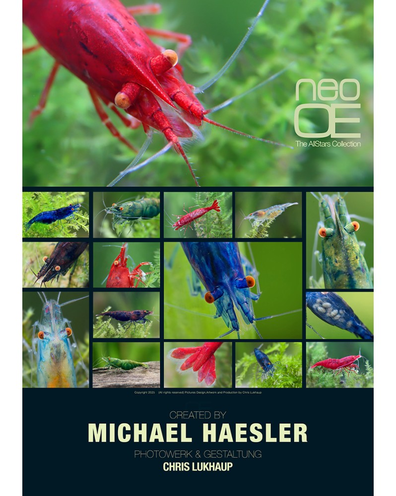 Poster de Chris Lukhaup - Neocaridina Orange Eyes A2 Poster A2 - Of...