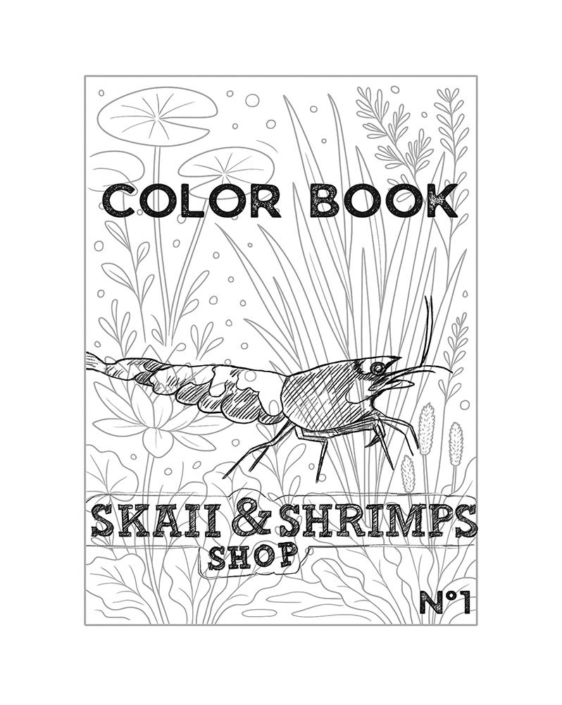 Concours Enfant - Color Book Skaii and Shrimps n°1 Nous avons créé ...