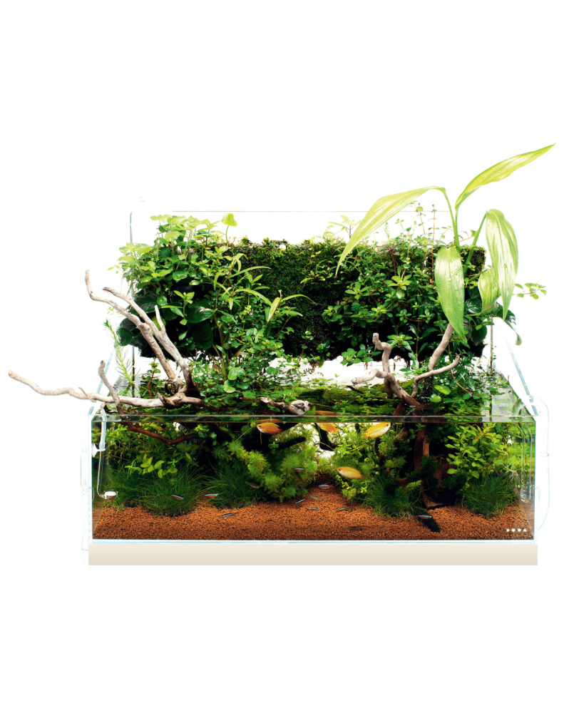 DOOA Neo Glass Terra H-36 - Paludarium